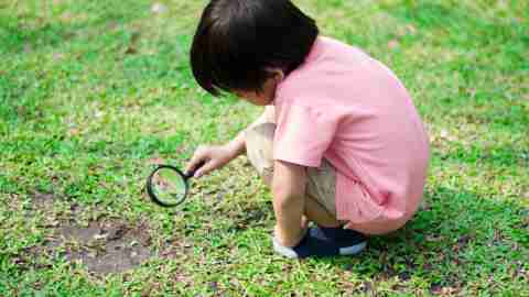 A young boy exploring grass with a magnifying glass as a result of positive parenting techniques that encourage him to pursue his interests