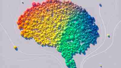 Digital generated image of Brain shape made out of multicoloured spheres on white background.